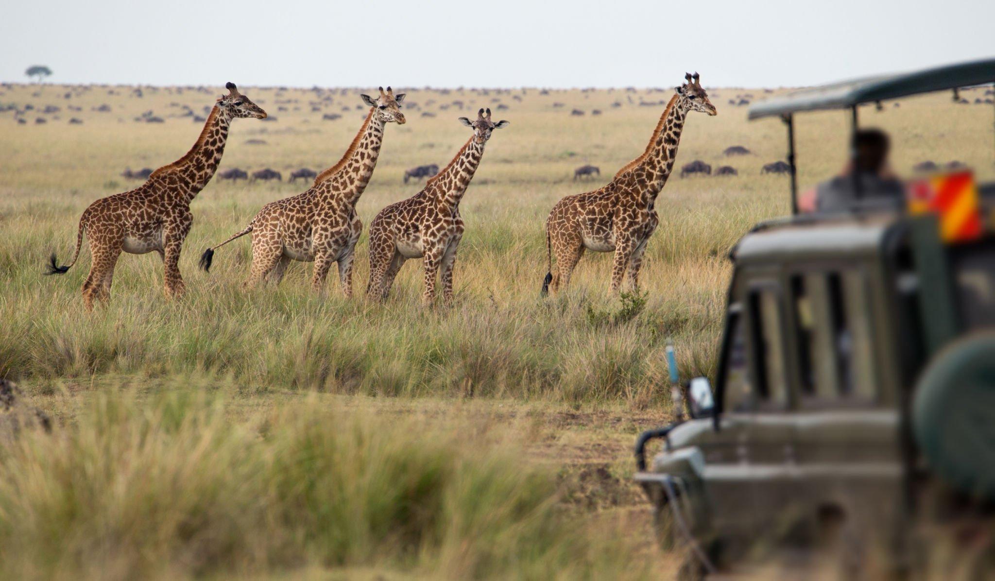 Group Join Safaris
